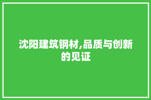 沈阳建筑钢材,品质与创新的见证