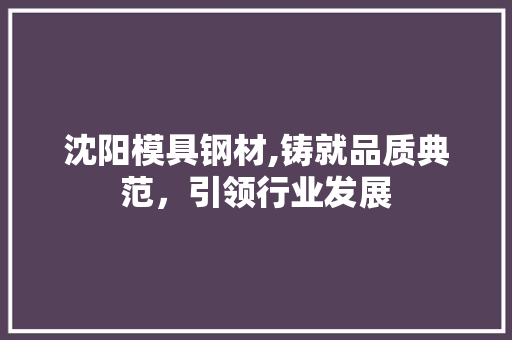 沈阳模具钢材,铸就品质典范，引领行业发展