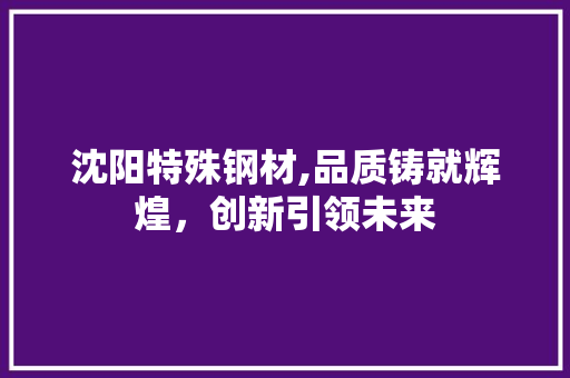 沈阳特殊钢材,品质铸就辉煌，创新引领未来