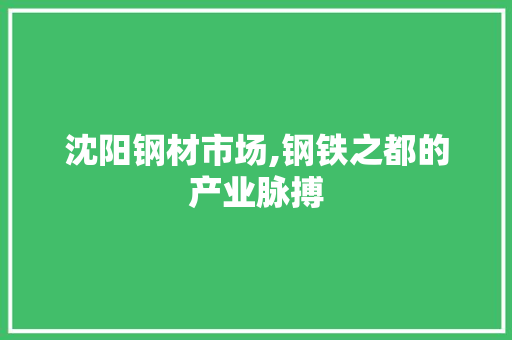 沈阳钢材市场,钢铁之都的产业脉搏