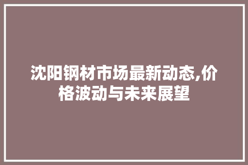 沈阳钢材市场最新动态,价格波动与未来展望