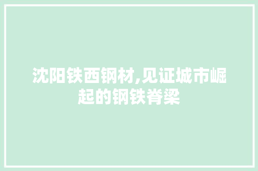 沈阳铁西钢材,见证城市崛起的钢铁脊梁