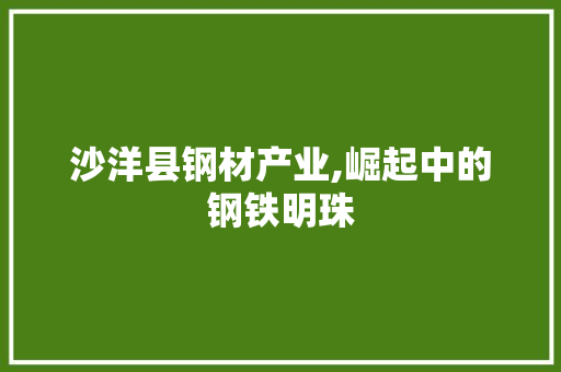 沙洋县钢材产业,崛起中的钢铁明珠