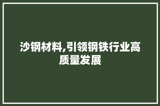 沙钢材料,引领钢铁行业高质量发展