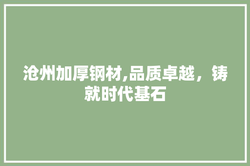 沧州加厚钢材,品质卓越，铸就时代基石