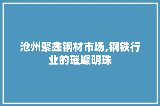 沧州聚鑫钢材市场,钢铁行业的璀璨明珠