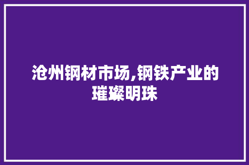 沧州钢材市场,钢铁产业的璀璨明珠