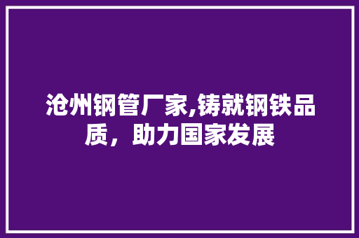 沧州钢管厂家,铸就钢铁品质，助力国家发展