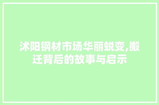 沭阳钢材市场华丽蜕变,搬迁背后的故事与启示