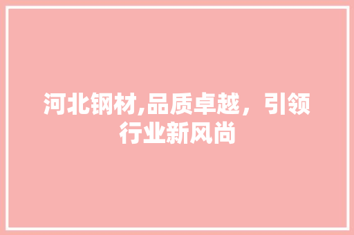 河北钢材,品质卓越，引领行业新风尚