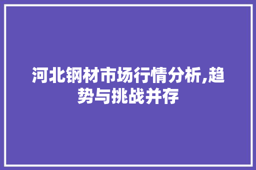 河北钢材市场行情分析,趋势与挑战并存