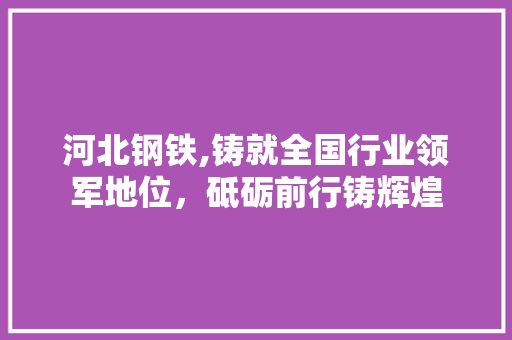 河北钢铁,铸就全国行业领军地位，砥砺前行铸辉煌