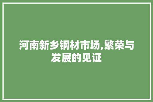 河南新乡钢材市场,繁荣与发展的见证
