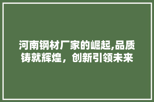 河南钢材厂家的崛起,品质铸就辉煌，创新引领未来