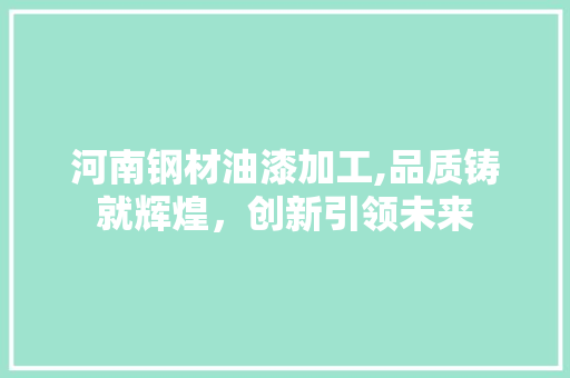 河南钢材油漆加工,品质铸就辉煌，创新引领未来