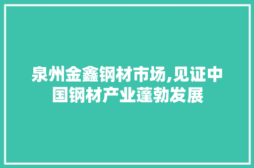 泉州金鑫钢材市场,见证中国钢材产业蓬勃发展