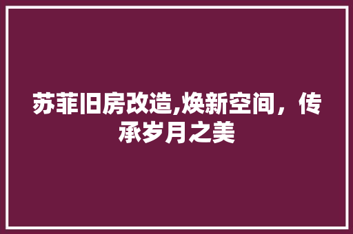苏菲旧房改造,焕新空间，传承岁月之美