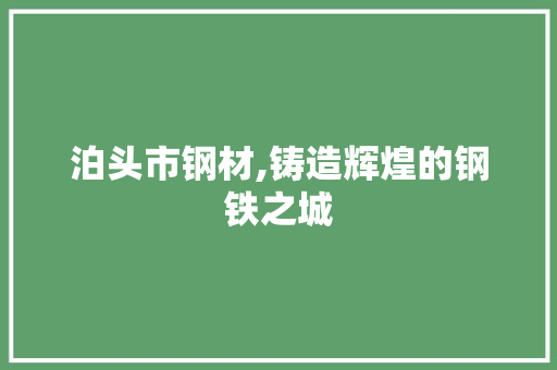 泊头市钢材,铸造辉煌的钢铁之城