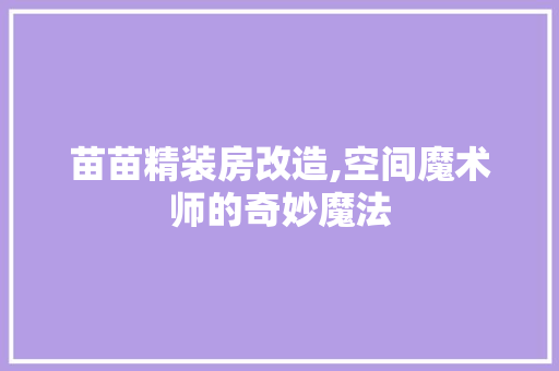 苗苗精装房改造,空间魔术师的奇妙魔法