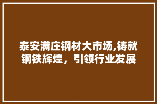 泰安满庄钢材大市场,铸就钢铁辉煌，引领行业发展