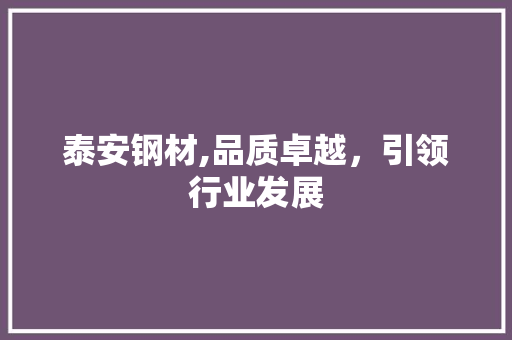 泰安钢材,品质卓越，引领行业发展