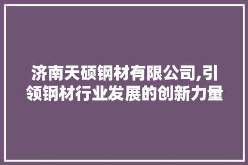 济南天硕钢材有限公司,引领钢材行业发展的创新力量