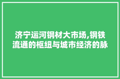 济宁运河钢材大市场,钢铁流通的枢纽与城市经济的脉动