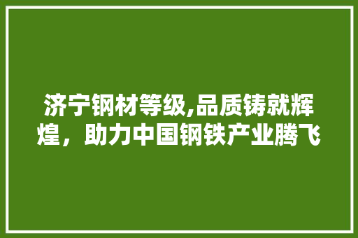 济宁钢材等级,品质铸就辉煌，助力中国钢铁产业腾飞