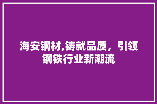 海安钢材,铸就品质，引领钢铁行业新潮流