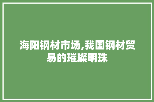 海阳钢材市场,我国钢材贸易的璀璨明珠