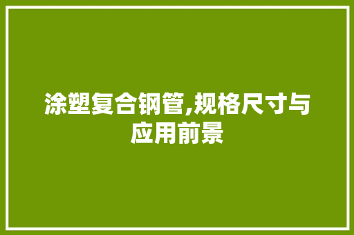 涂塑复合钢管,规格尺寸与应用前景