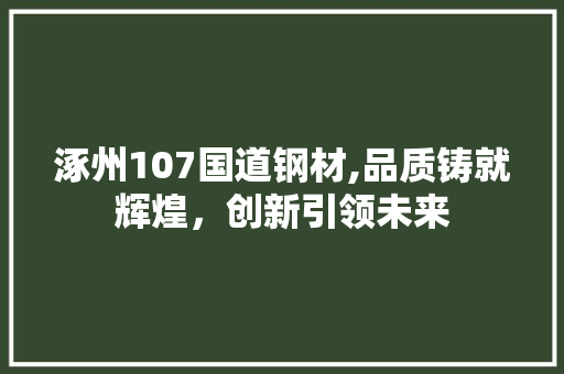 涿州107国道钢材,品质铸就辉煌，创新引领未来