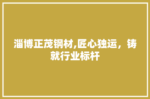 淄博正茂钢材,匠心独运，铸就行业标杆