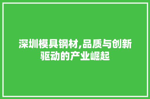 深圳模具钢材,品质与创新驱动的产业崛起