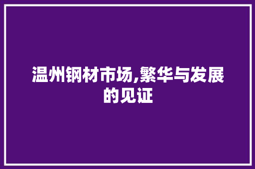温州钢材市场,繁华与发展的见证