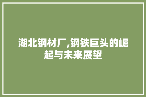 湖北钢材厂,钢铁巨头的崛起与未来展望