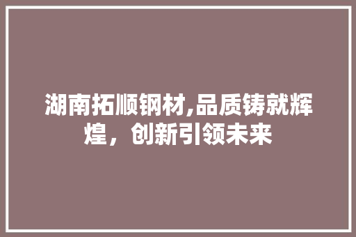 湖南拓顺钢材,品质铸就辉煌，创新引领未来