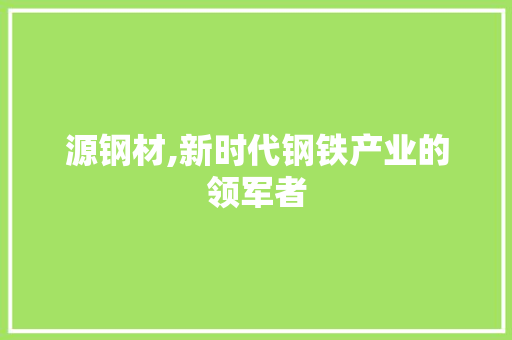 源钢材,新时代钢铁产业的领军者