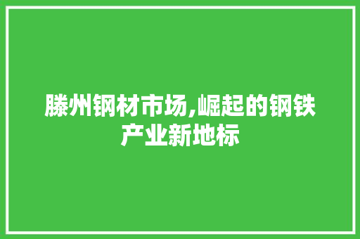 滕州钢材市场,崛起的钢铁产业新地标