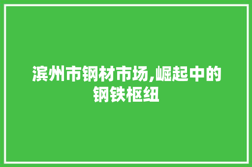 滨州市钢材市场,崛起中的钢铁枢纽