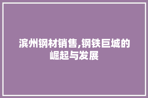 滨州钢材销售,钢铁巨城的崛起与发展