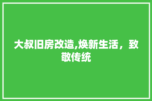 大叔旧房改造,焕新生活，致敬传统