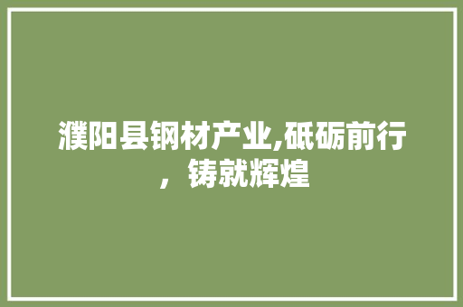 濮阳县钢材产业,砥砺前行，铸就辉煌