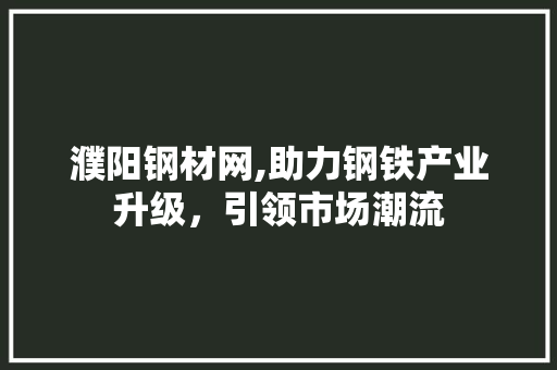 濮阳钢材网,助力钢铁产业升级，引领市场潮流