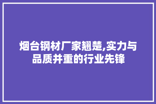 烟台钢材厂家翘楚,实力与品质并重的行业先锋