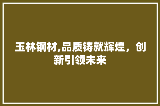 玉林钢材,品质铸就辉煌，创新引领未来