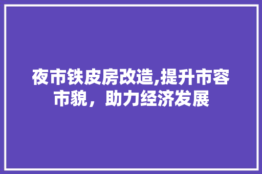 夜市铁皮房改造,提升市容市貌，助力经济发展