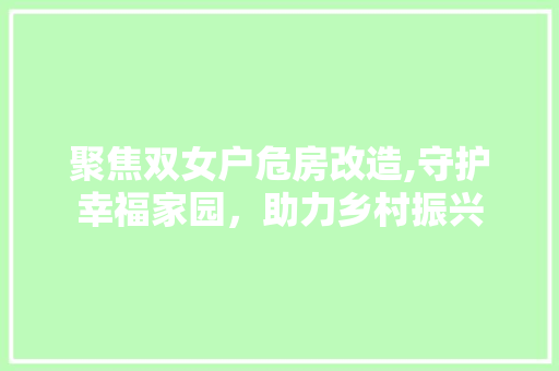 聚焦双女户危房改造,守护幸福家园，助力乡村振兴
