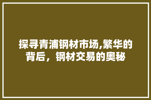 探寻青浦钢材市场,繁华的背后，钢材交易的奥秘