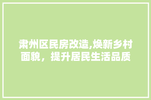 肃州区民房改造,焕新乡村面貌，提升居民生活品质